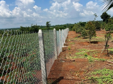 Dự án trụ bê tông làm hàng rào cho vườn ở Suối cát, đồng nai